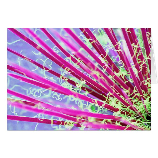 Psychedelic Yucca Abstract Red (Voorkant Horizontaal)