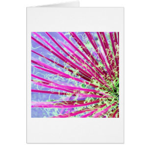 Psychedelic Yucca Abstract Red
