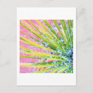 Psychedelic Yucca Briefkaart