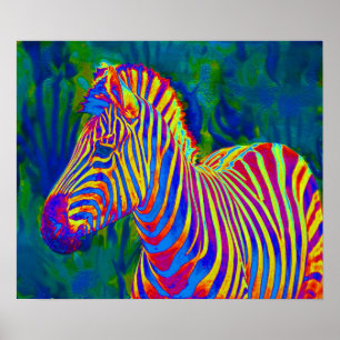 psychedelic zebra poster