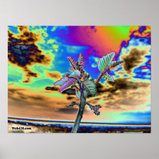 psychedelische bloem poster