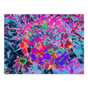 Psychedelische Kleurrijke Rode en Paarse Bloemen Foto Afdruk