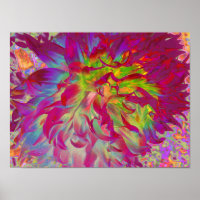 Psychedelische Magenta en Gele Dahlia Bloem