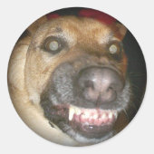 Psycho Duits Herder Hond Eng Kwaad Ronde Sticker (Voorkant)
