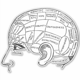 Psychologie  phrenology psychiatrie brain sticker