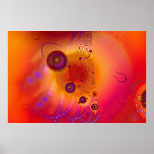 Psyctopus embryo poster (Voorkant)