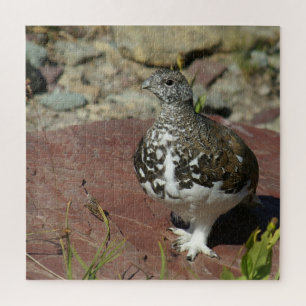 Ptarmigan met witte staart - 676 stuks legpuzzel