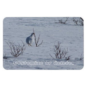 Ptarmigan Snacking; Personaliseerbaar Magneet