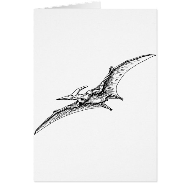 Pterodactyl (Voorkant)