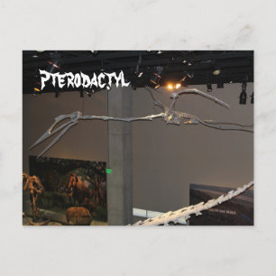 Pterodactyl Briefkaart