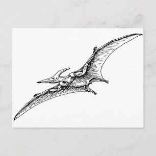 Pterodactyl Briefkaart
