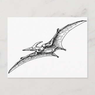 Pterodactyl Briefkaart