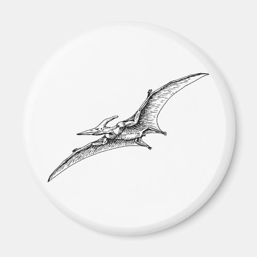 Pterodactyl Magneet (Voorkant)