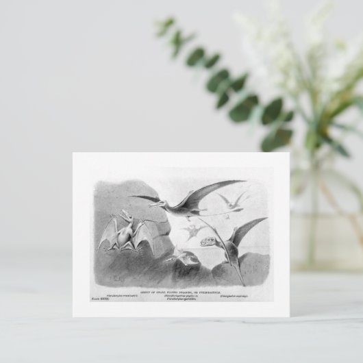 Pterodactyles briefkaart (Staand voorkant)