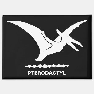 Pterodactylus Dinosaurus Silhouet Magneet