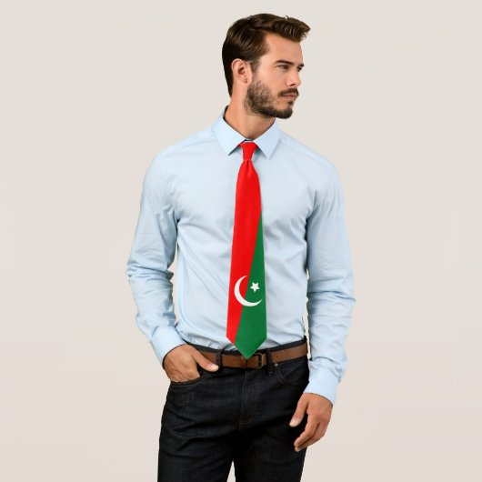 PTI Flag Mannen Necktie Stropdas (In situ)