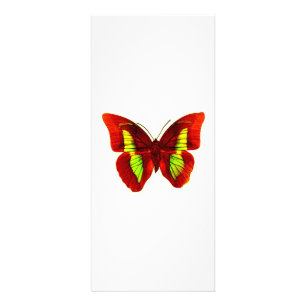 Publicitaire Carte de bâti papillon