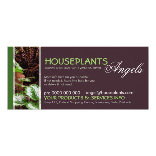 Publicitaire Carte en rack Angels Houseplant (Devant)