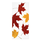 Publicitaire Carte rack d'automne (Dos)