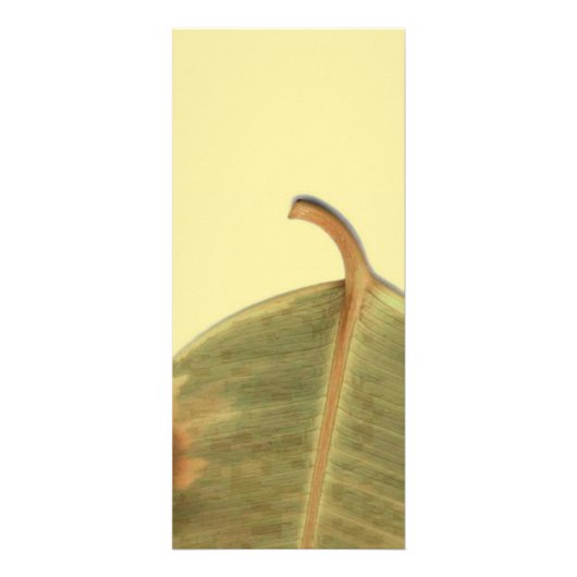 Publicitaire Carte rack de congé vert (Dos)