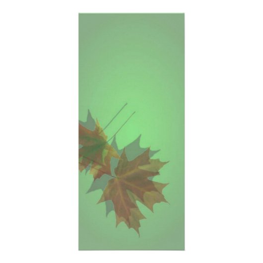 Publicitaire Carte rack Maple Leave (Devant)
