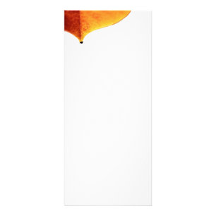 Publicitaire Carte rack orange Leave
