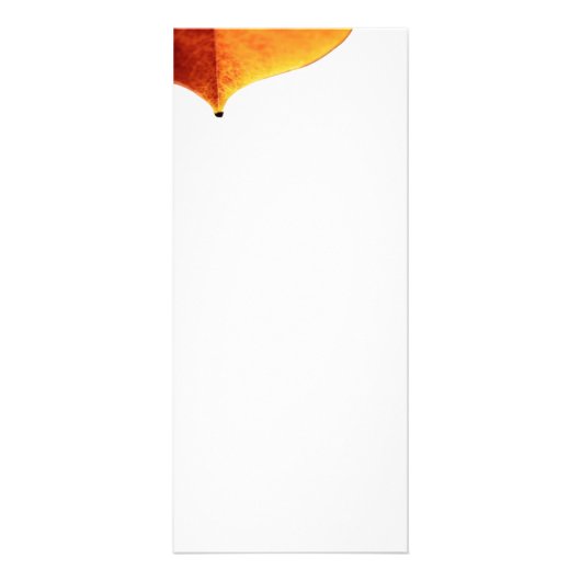 Publicitaire Carte rack orange Leave (Devant)