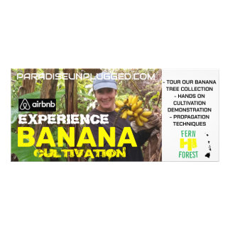 PUBLICITAIRE EXPÉRIENCE BANANA CULTIVATION CARTE RACK