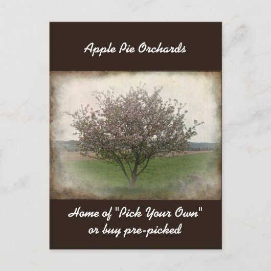 Publier l'arbre Apple dans la carte postale Bloom (Devant)