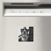 Pucca Magnets B (In Situ (Lave-vaisselle))