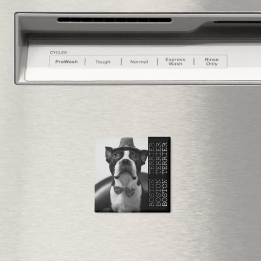 Pucca Magnets B (In Situ (Lave-vaisselle))