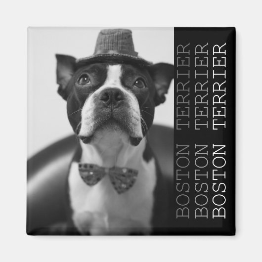 Pucca Magnets B (Devant)