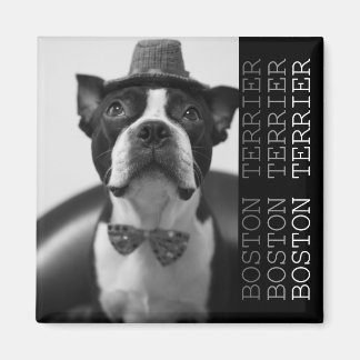 Pucca Magnets B Magneet