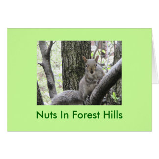 Pucci frappe une pose, écrous dans Forest Hills