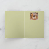 Puccini l'écureuil avec une carte de courge (Intérieur)