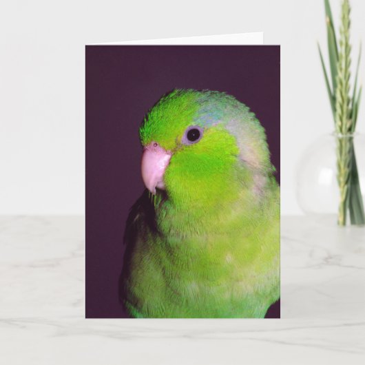 Puck Note-Kaart Kaart (Voorkant)