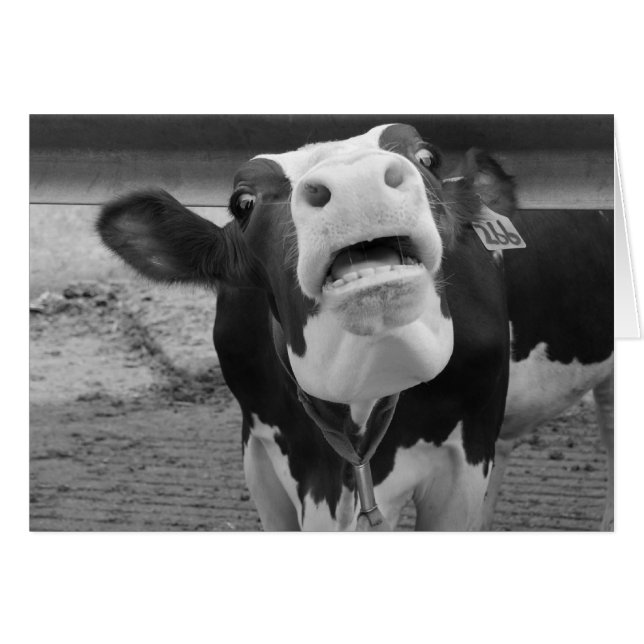 Pucker Up ! (Devant horizontal)