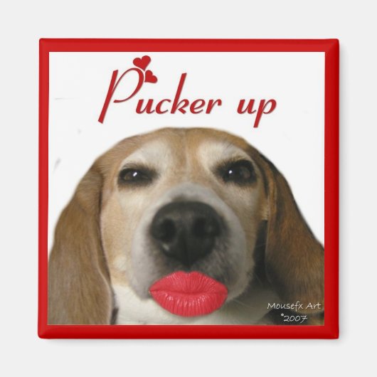 Pucker up Beagle Magnet Magneet (Voorkant)