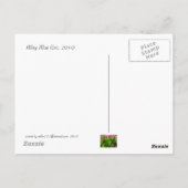 Puddle De Sunshine Carte Postale (Dos)