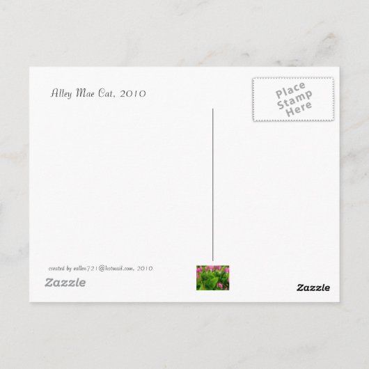 Puddle De Sunshine Carte Postale (Dos)