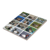 Puddle Ducks Logo Tegeltje (Zijkant)