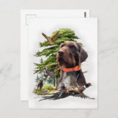 Pudelpointers Briefkaart (Voorkant / Achterkant)