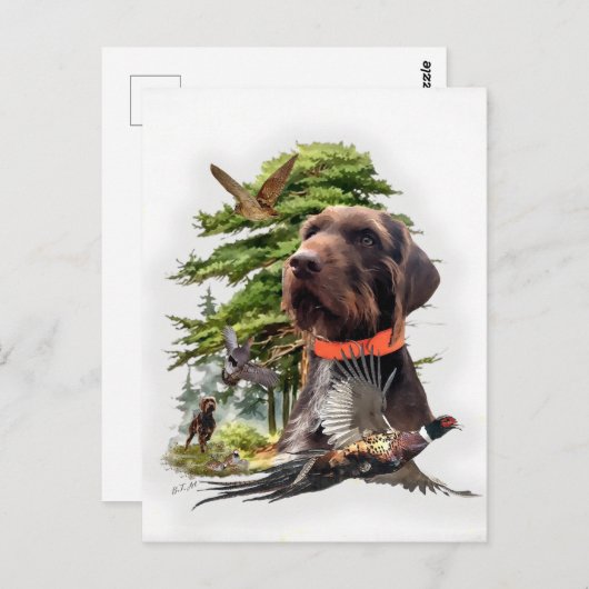 Pudelpointers Briefkaart (Voorkant / Achterkant)