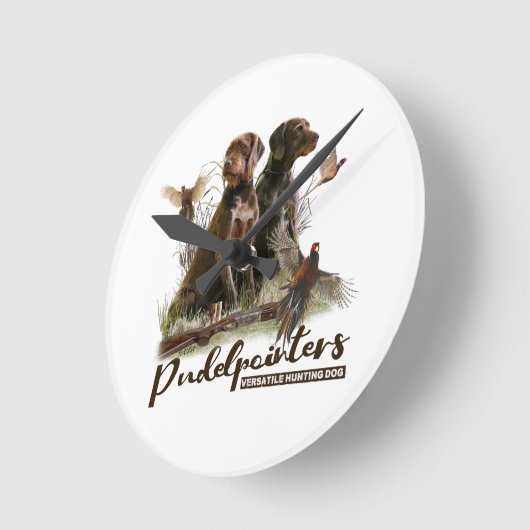 Pudelpointers, jachtfazant ronde klok (Hoek)