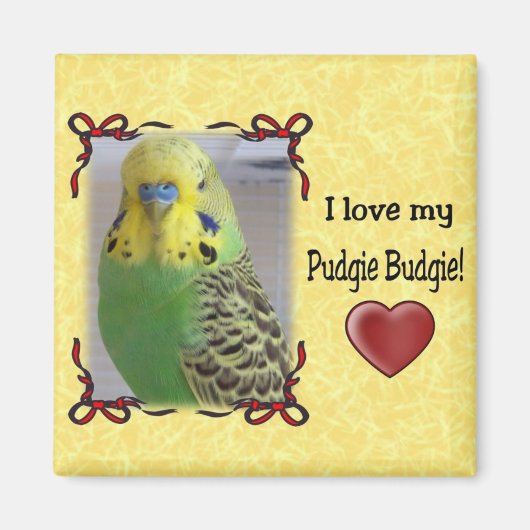 Pudgie Budgie 3 Magneet (Voorkant)