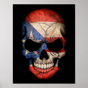 Puerto Ricaanse vlag Poster
