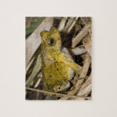 Puerto Rican Crested Toad Legpuzzel (Verticaal)