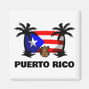Puerto Rico Coqui kikker reizen Magneet