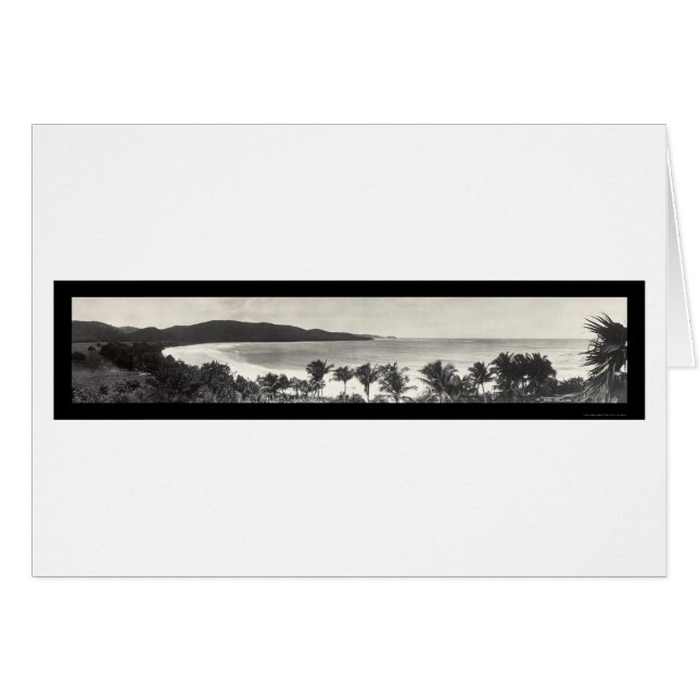 Puerto Rico Flamingo Foto 1914 (Voorkant Horizontaal)