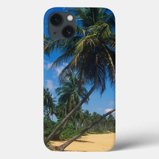 Puerto Rico, Isla Verde, palm trees Case-Mate iPhone Case (Achterkant)